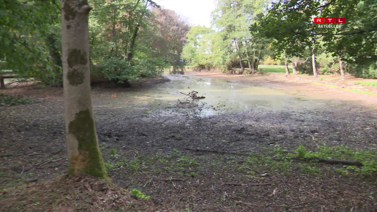 The pond at Colpach-Bas castle was drying up