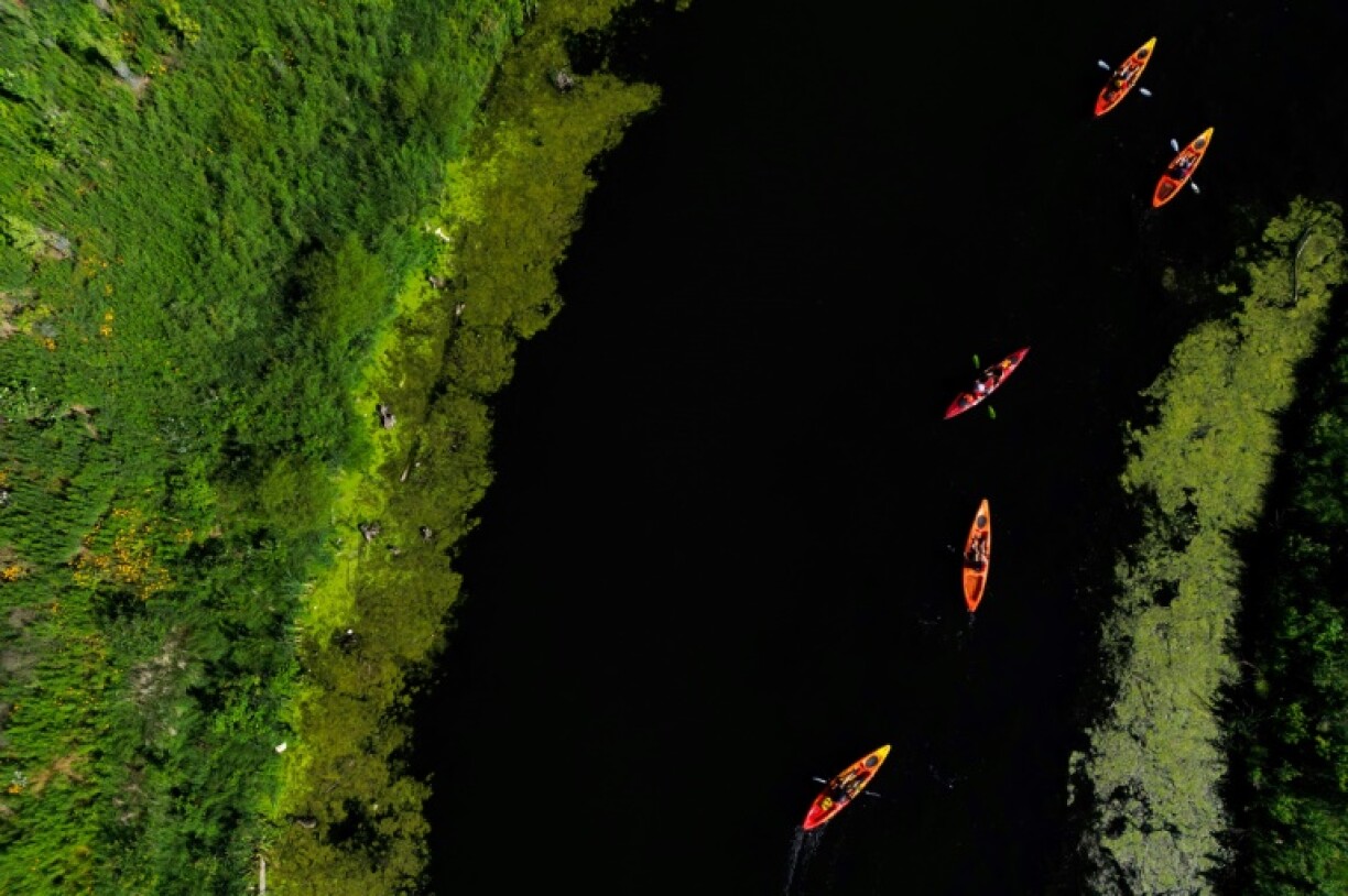 The mouth of the Don River was once the Great Lakes system's largest fresh water marsh, a rich habitat and vital food resource for Indigenous people before colonization