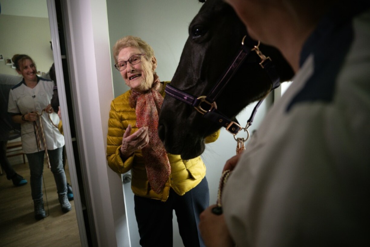 La jument Dounka rend visite à une pensionnaire de la Maison d'accueil et de résidence pour l'autonomie (Marpa) d'Ornans, le 25 mars 2023 au sud de Besançon