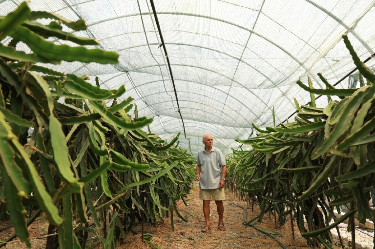 Farmer Irakli Shkoza planted seeds from Africa and America
