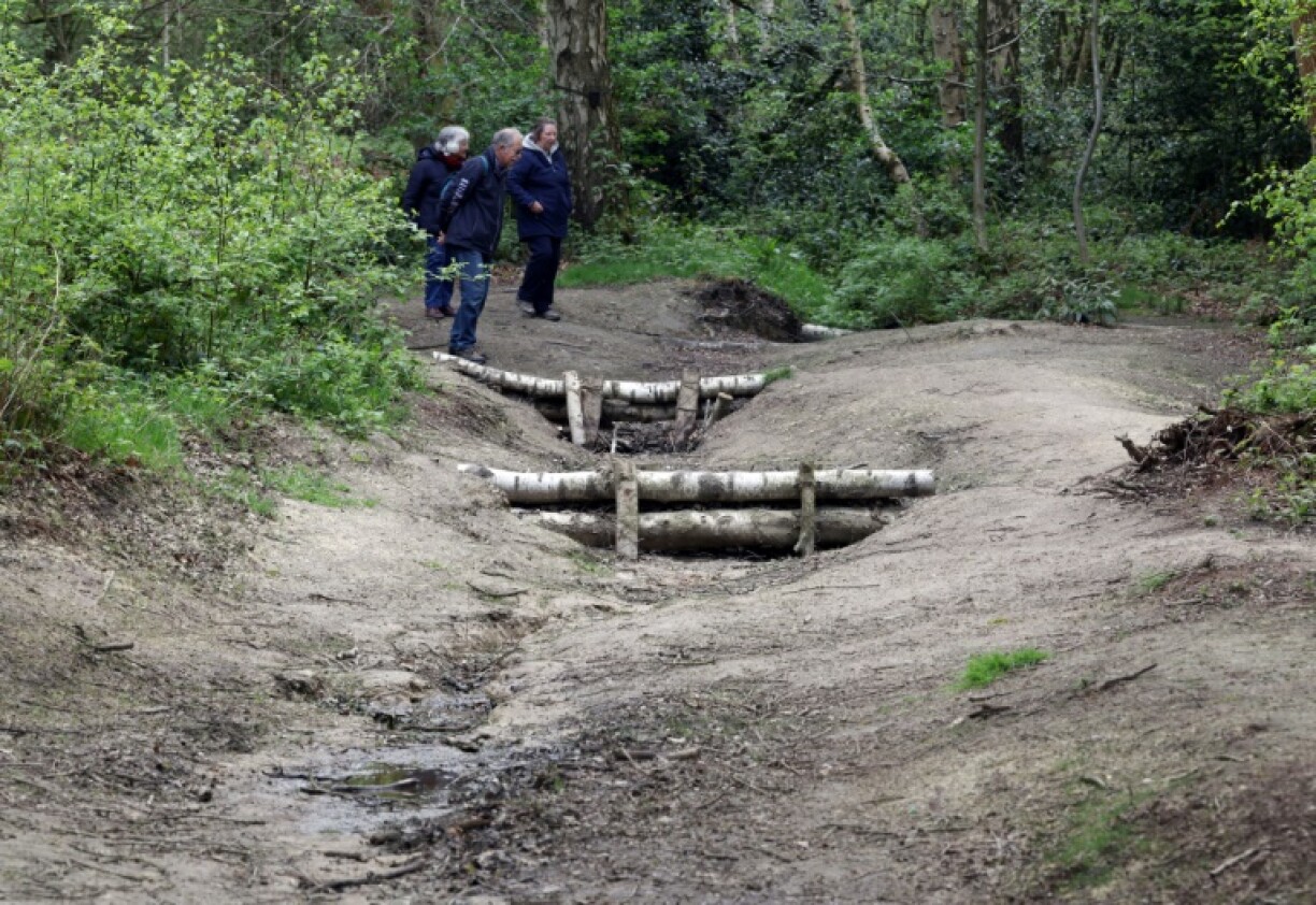 Walkers look at leaky dams which form part of a natural flood management scheme at Beacon Hill near Loughborough