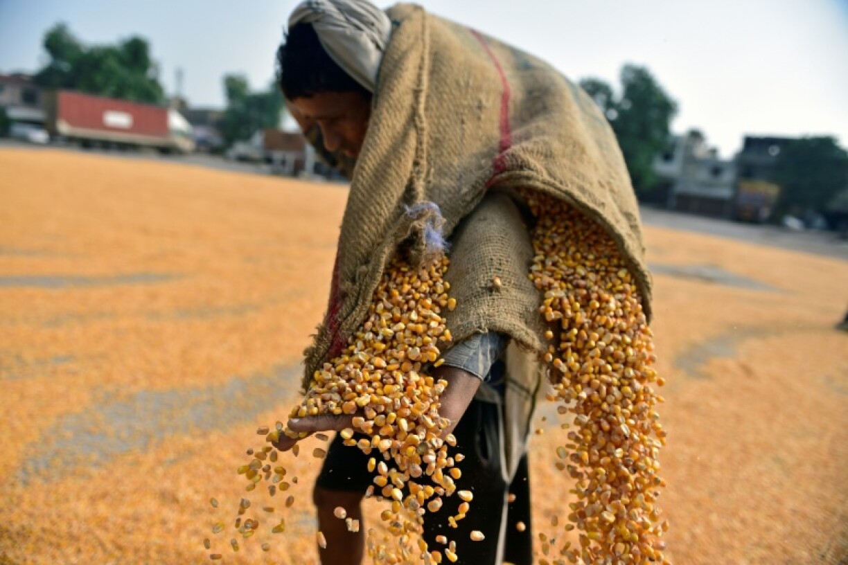 Indian exporters warned that the cost of additional US tariffs totalling 50 percent risked making businesses