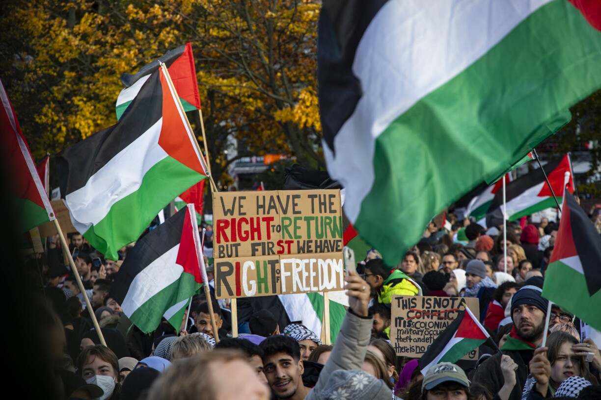Une manifestation pro-palestinienne, le 4 novembre.