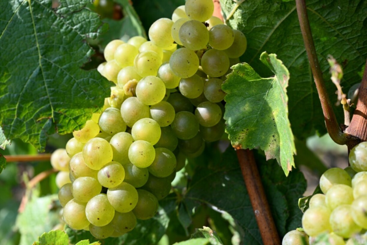 Après plusieurs mois d'enquête, 57 victimes ont été identifiées et l'immeuble ayant hébergé les travailleurs a été saisi