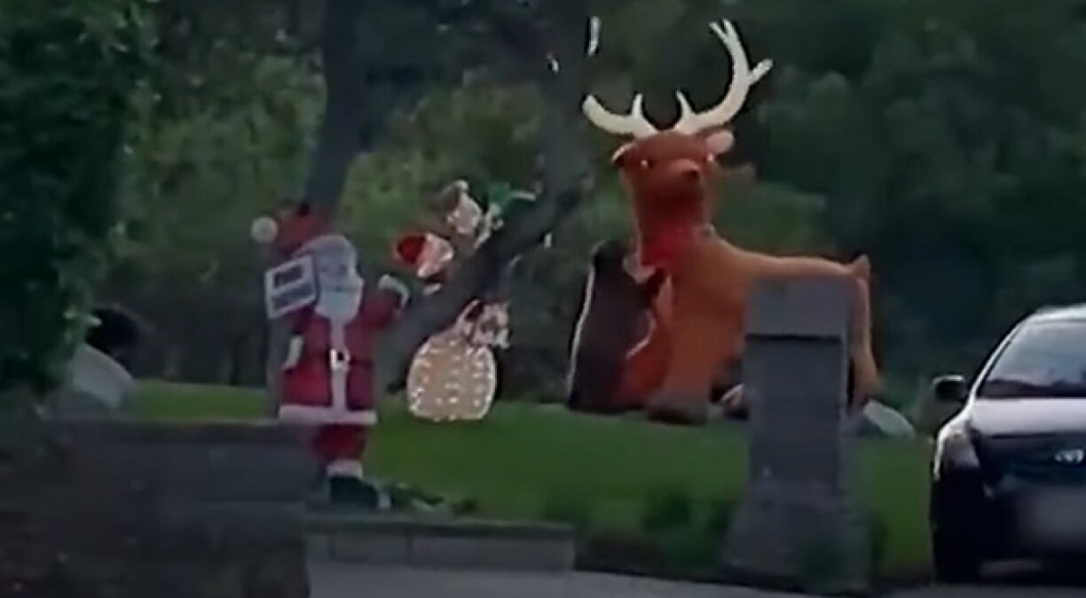 Lors d'une promenade dans son quartier, elle aperçoit un ourson s'en prendre à des décorations de Noël (vidéo)