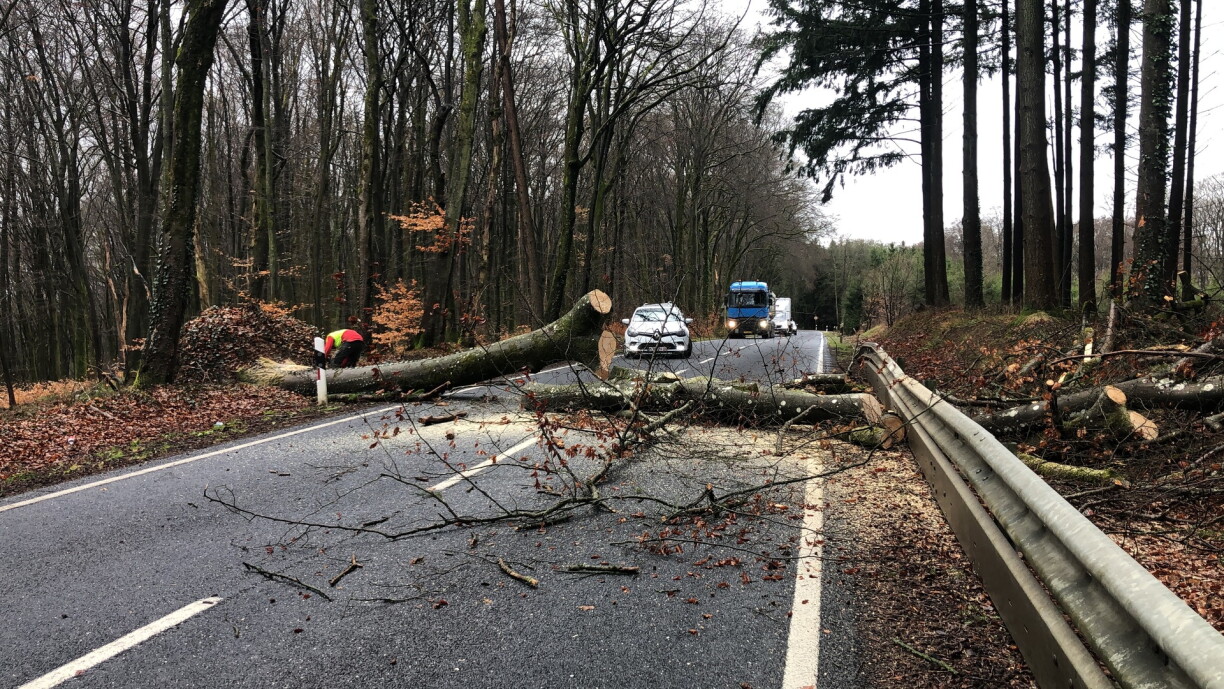 Un arbre couché sur la route N8 entre Kreuzerburg et Saeul.