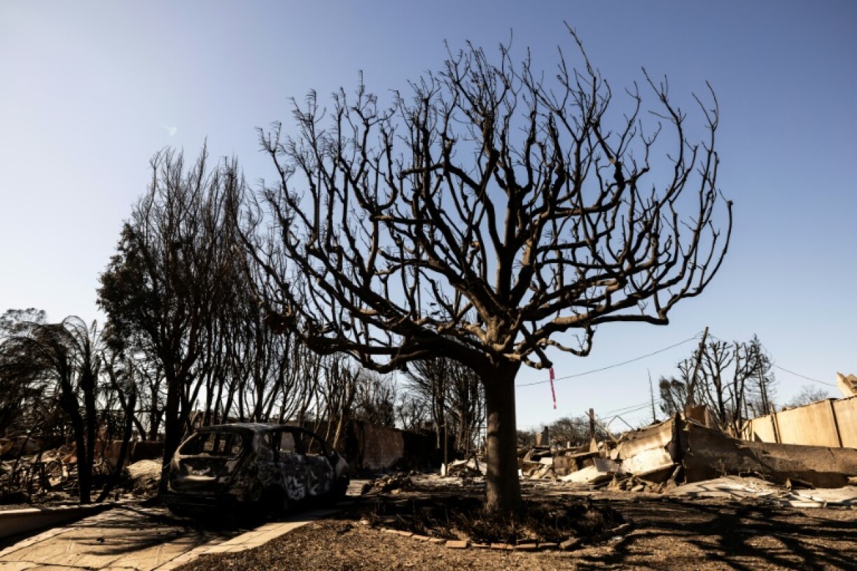 The fires devastated the neighborhoods of Pacific Palisades and Altadena