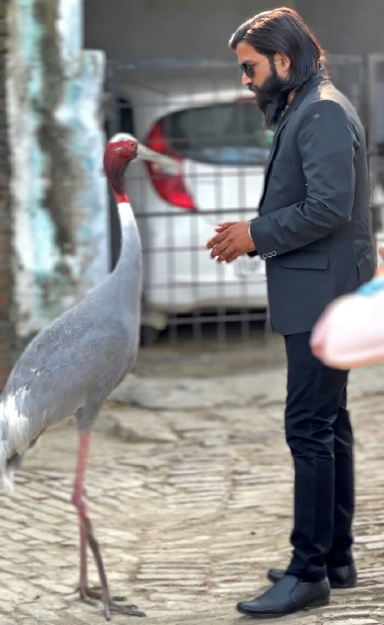 Mohammad Arif avec sa grue Antigone, le 12 mars 2023, chez lui à Amethi, dans l'Etat d'Uttar Pradesh, en Inde