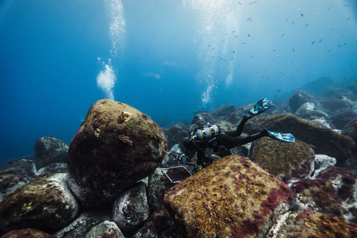 Un plongeur utilise un cadre d’échantillonnage pour évaluer la vie marine sur un fond marin jonché de blocs rocheux, au large de Madère, le 11 octobre 2026, dans le cadre de l’expédition scientifique "Madeira Ocean".
