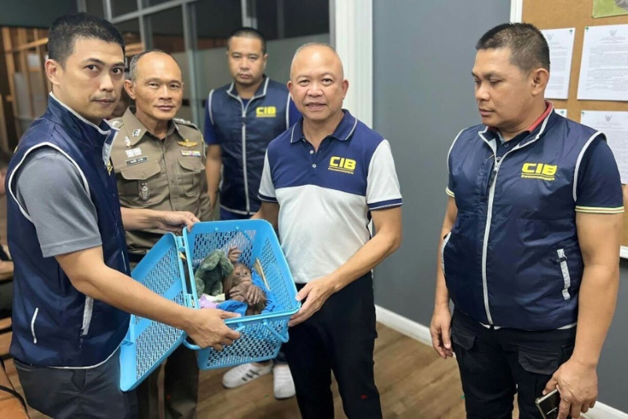 A handout photo by the Central Investigation Bureau of the Royal Thai Police shows authorities with a rescued orangutan baby