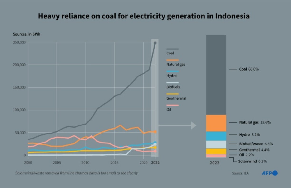 Indonesia electricy supply