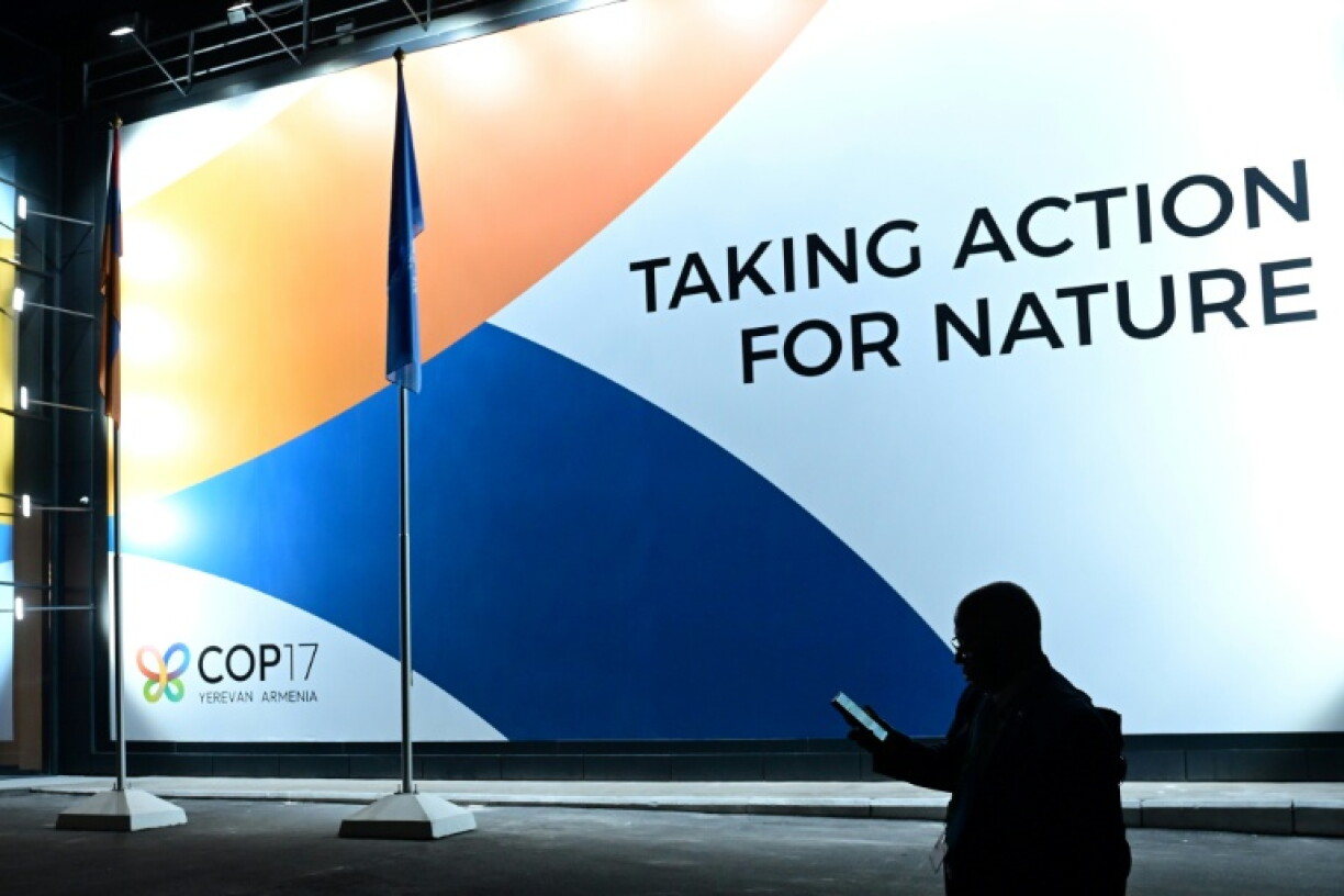 A feud over science has raised concerns at the UN biodiversity summit in Armenia.
