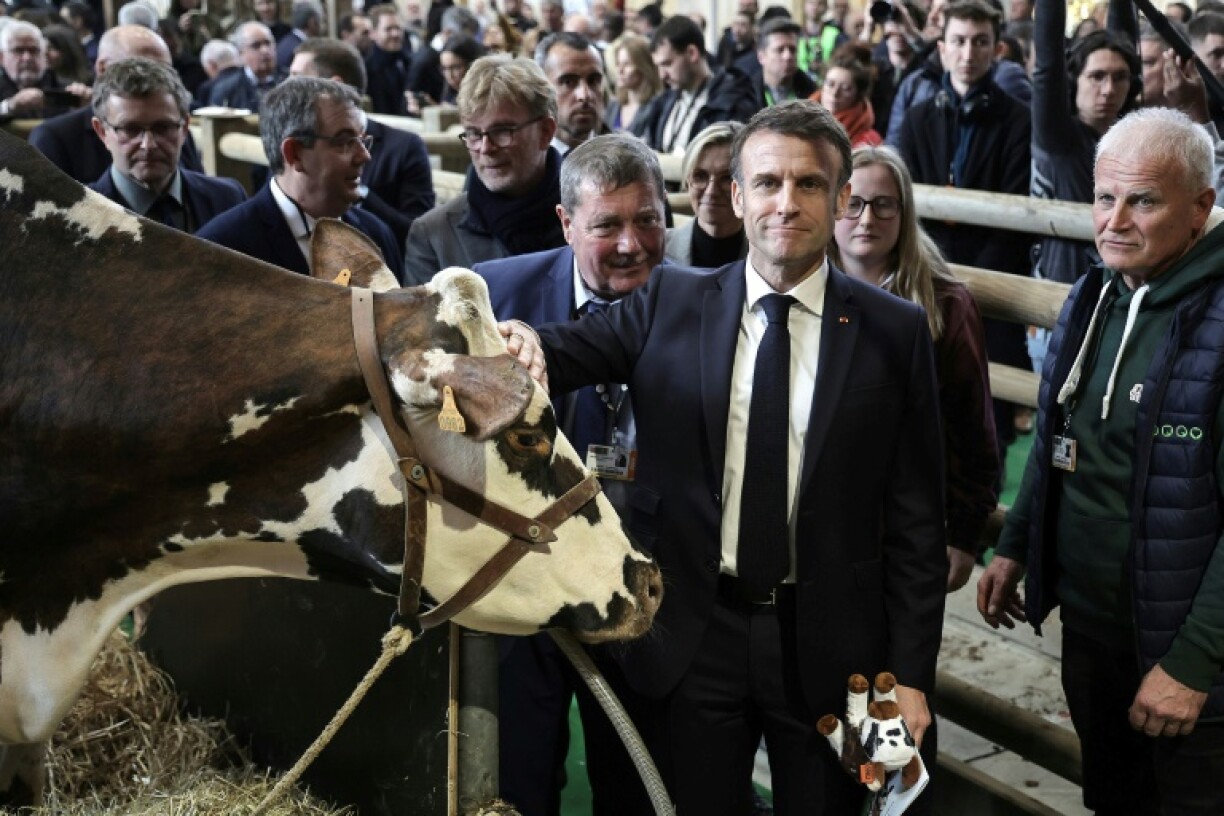 Le président de la République Emmanuel Macron et la vache