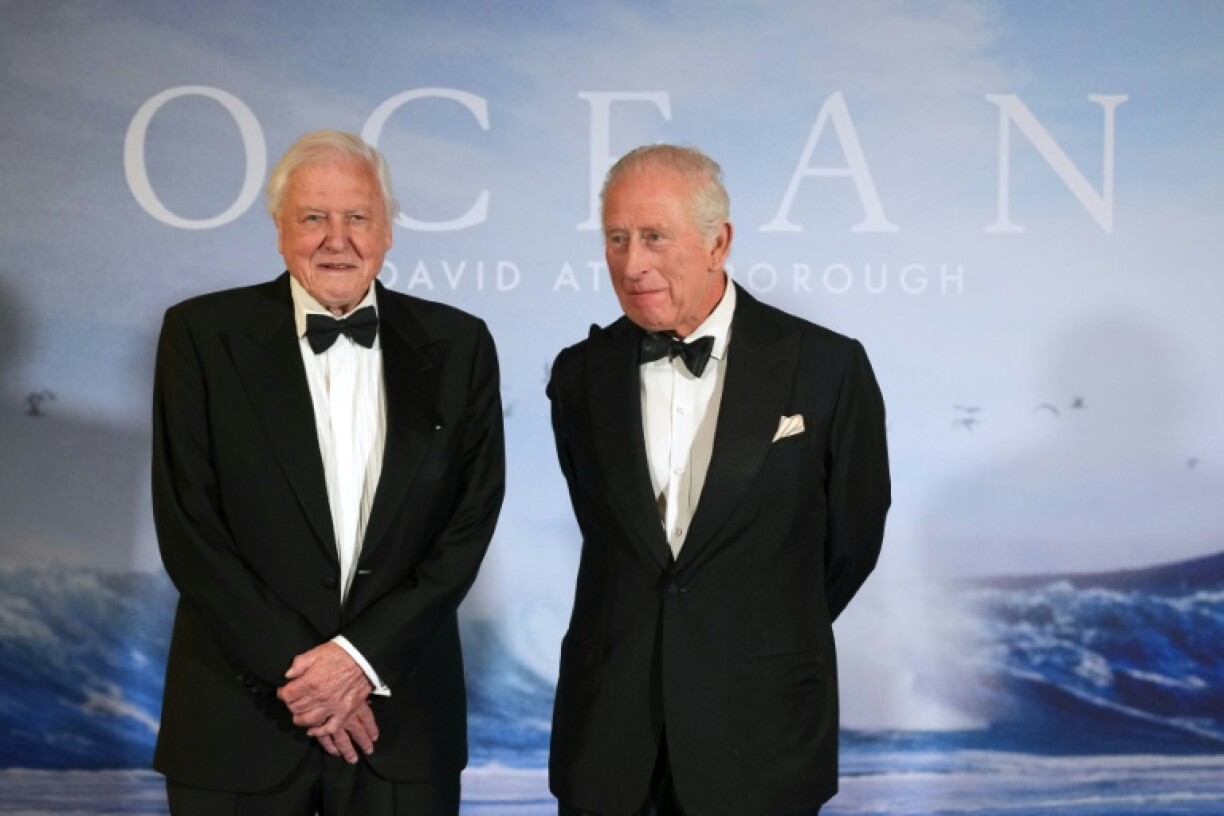 Le roi Charles III (d) et David Attenborough à la première du documentaire