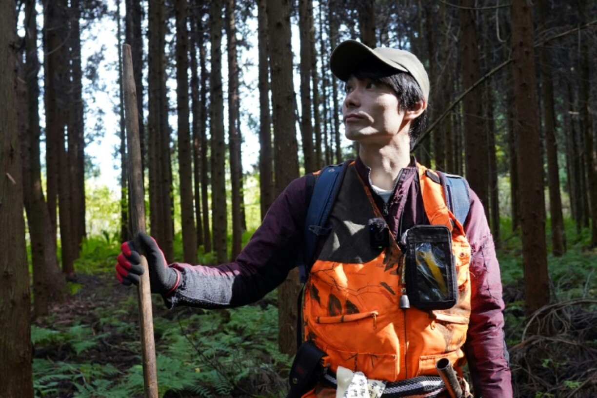 Japan is scrambling to address a surge in bear attacks, but has less than half the number of 'Matagi' hunters it had in 1980