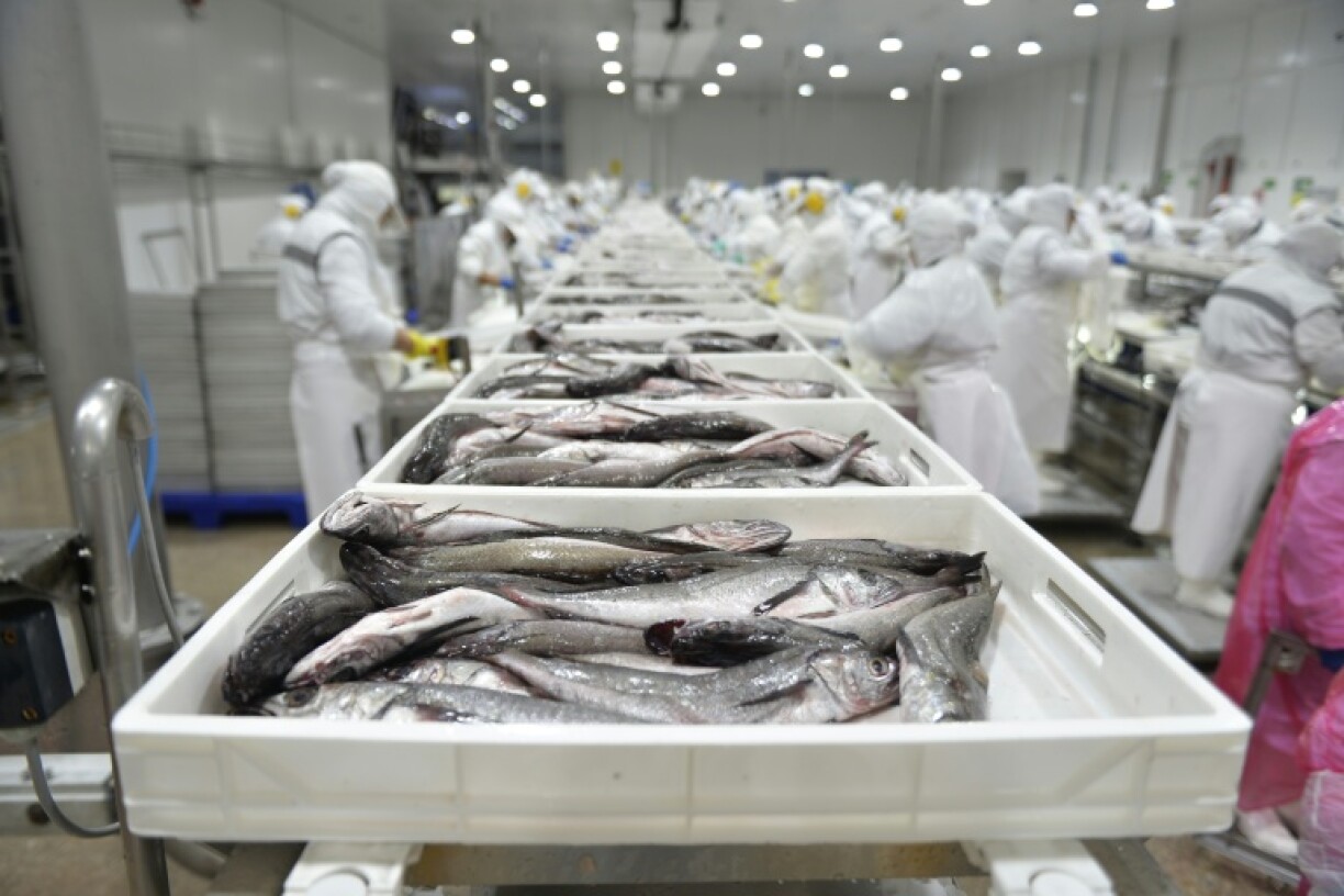 Chilean officials have passed a law to allow artisanal fisherman a bigger share of the hake catch