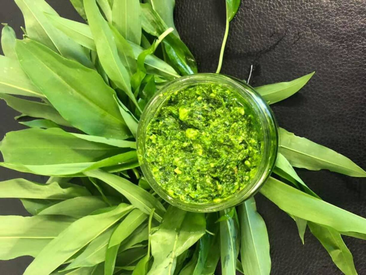 Le pesto d'ail des ours, une des trouvailles dans la nature en ce moment.