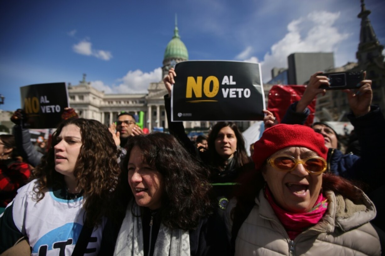 A placard reading 'No to the Veto' waved by a protester outside Congress in Buenos Aires