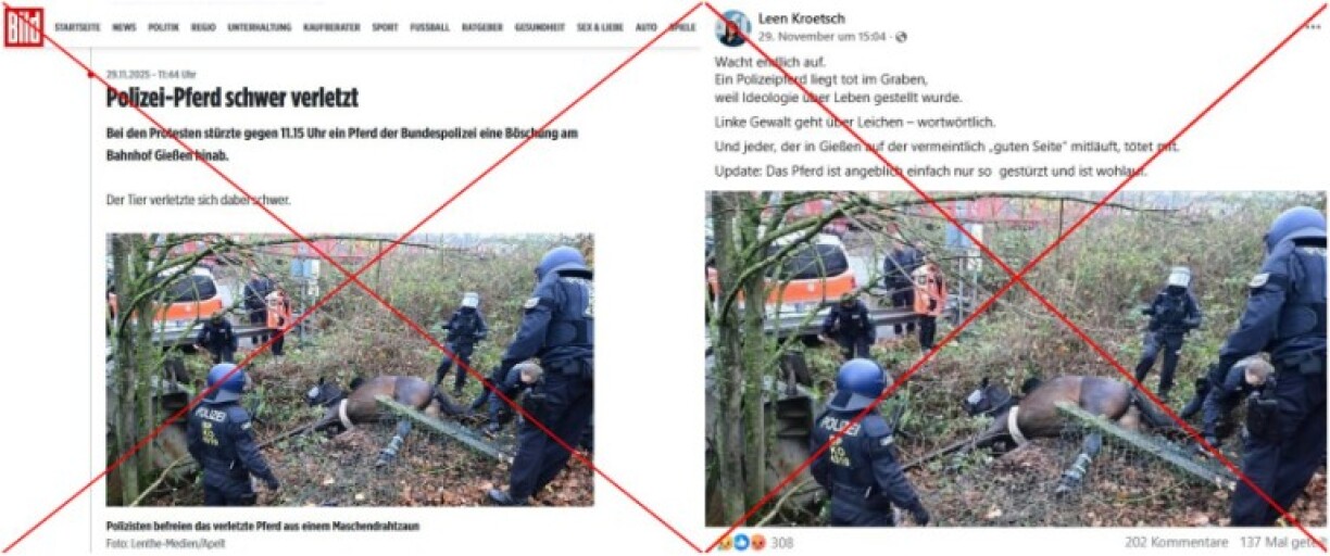 Vergleich eines Screenshots des Fotos im