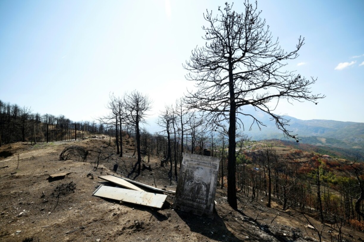 Albania experienced a summer of devastating forest fires
