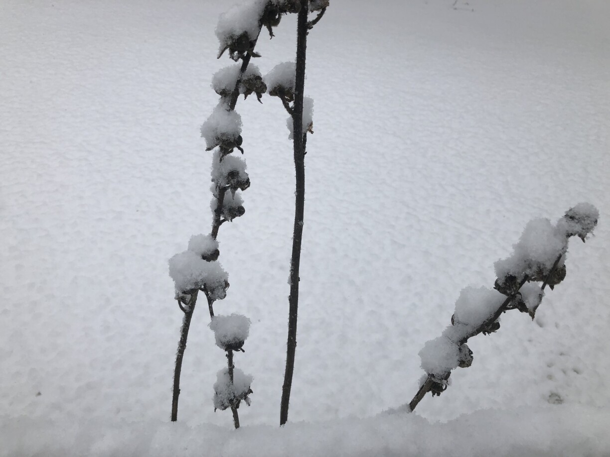 Photo by RTL Today reader Hulya Halliwell