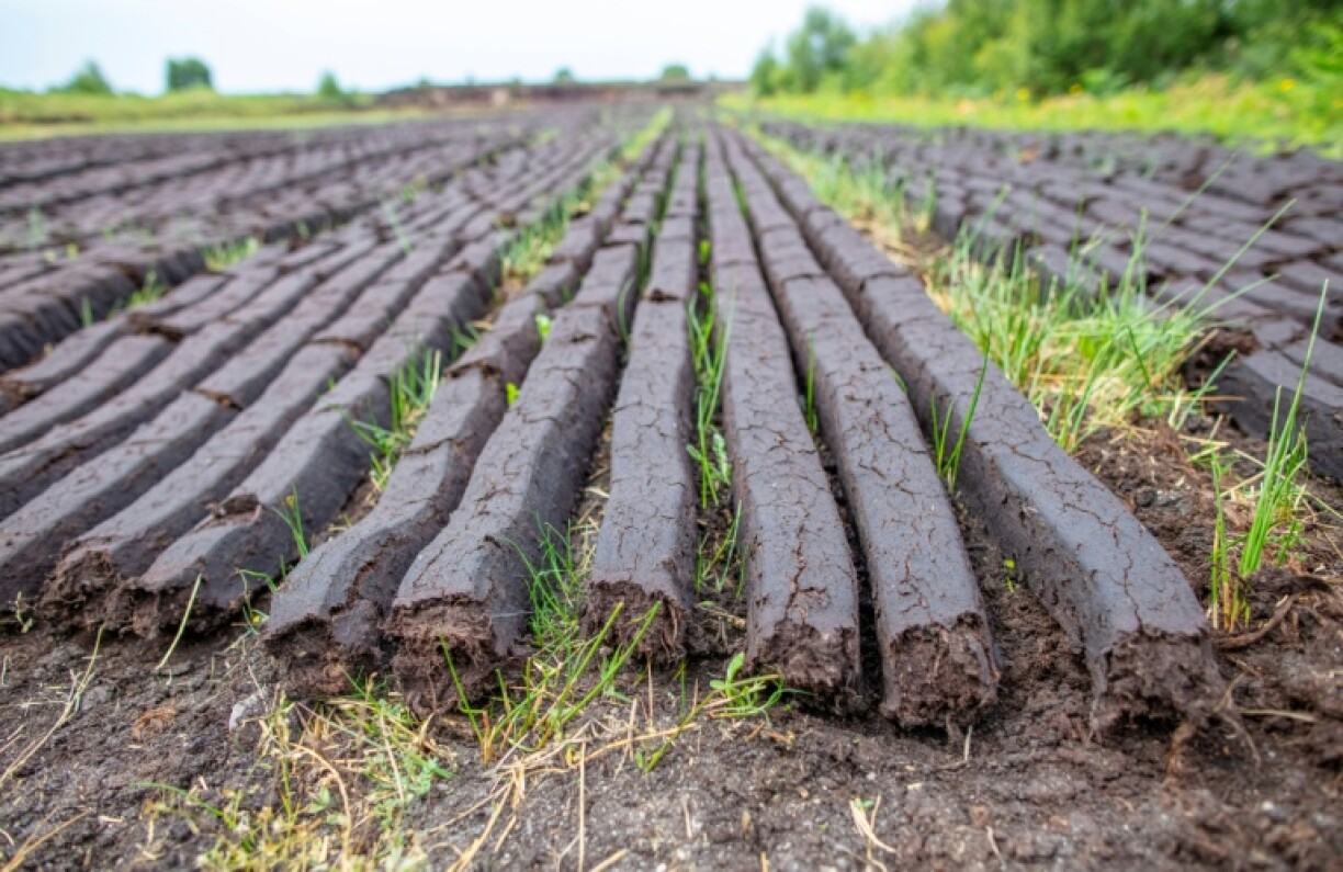 Irish turf dries in a field before being used as a traditional way of heating Irish homes in Carragh, west of Dublin