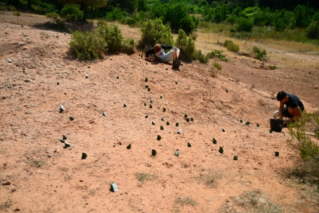 Experts come once a year to search a new part of the reserve, with the location always kept secret to deter pillagers