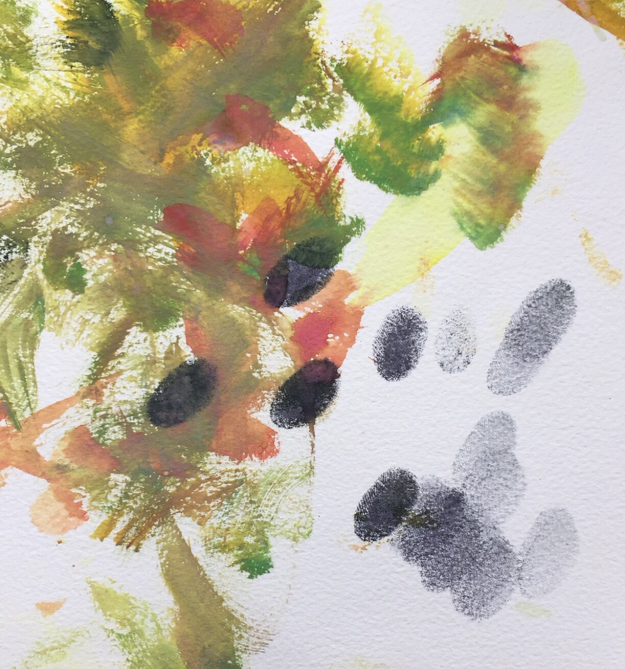 Leaves in a Luxembourg forest