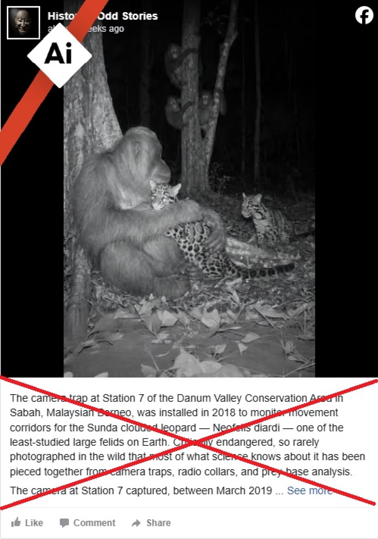 Screenshot of the false post captured on May 13, 2026, with an AI symbol and red X added by AFP