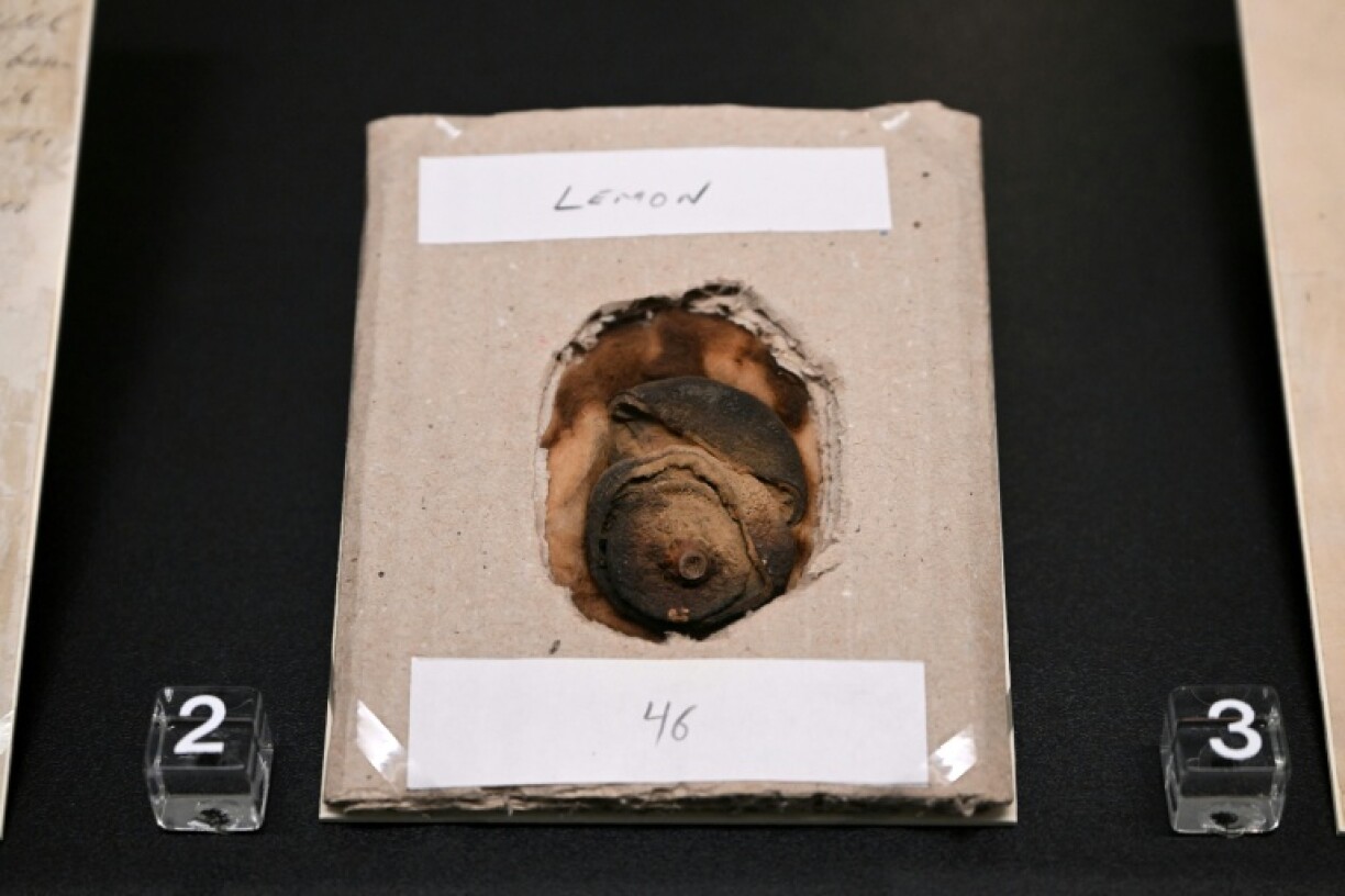 It also shows the lemon used by German spy Karl Muller for secret writing