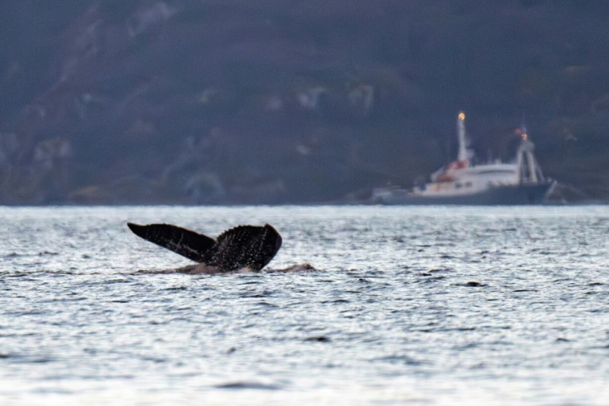 Whale bones were all the rage between 17,500 and 16,000 BC, before it apparently become unfashionable