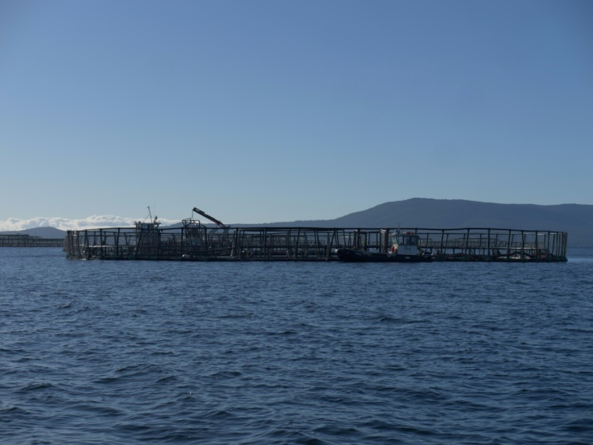 A salmon pen belonging to the Tassal company located off Charlotte Cove, in the d'Entrecasteaux Channel in Tasmania.