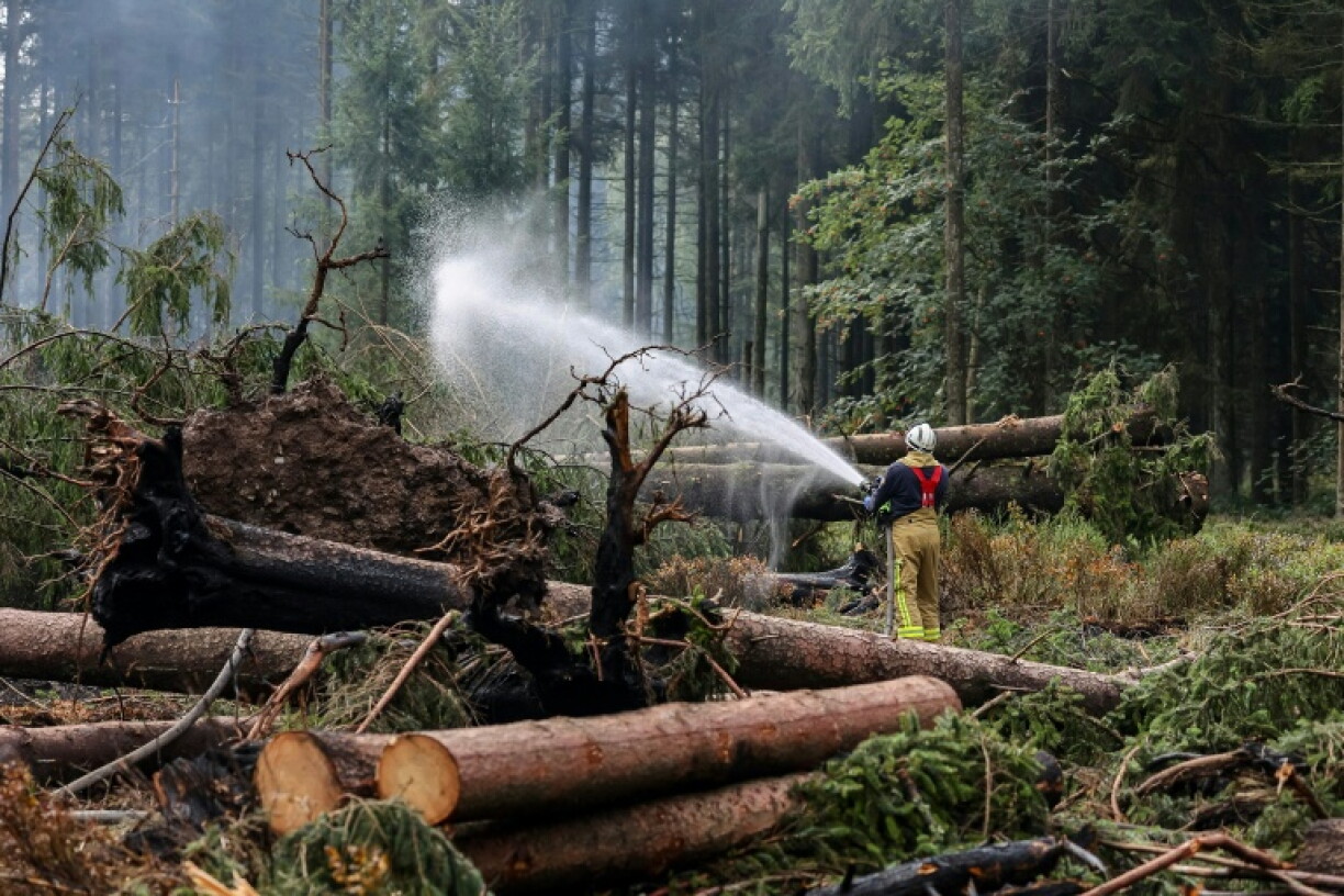 Un pompier arrose le sol pour l'humidifier lors des opérations visant à contenir un incendie de forêt dans la réserve naturelle des Hautes Fagnes, le 20 août 2026 en Belgique