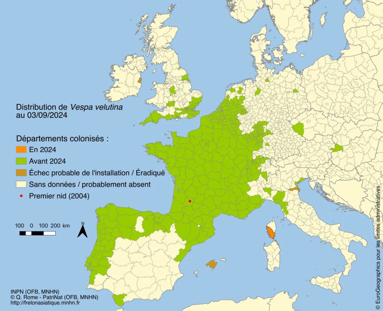 Carte représentant la colonisation du frelon asiatique, depuis son introduction accidentelle en France en 2004.