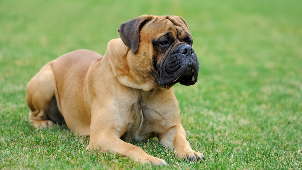 Image d'illustration