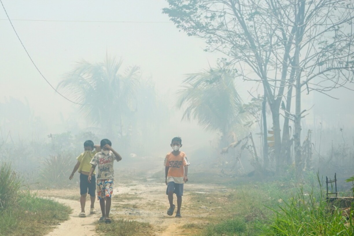 Civil society groups have accused companies of responsibility for Indonesia's fires