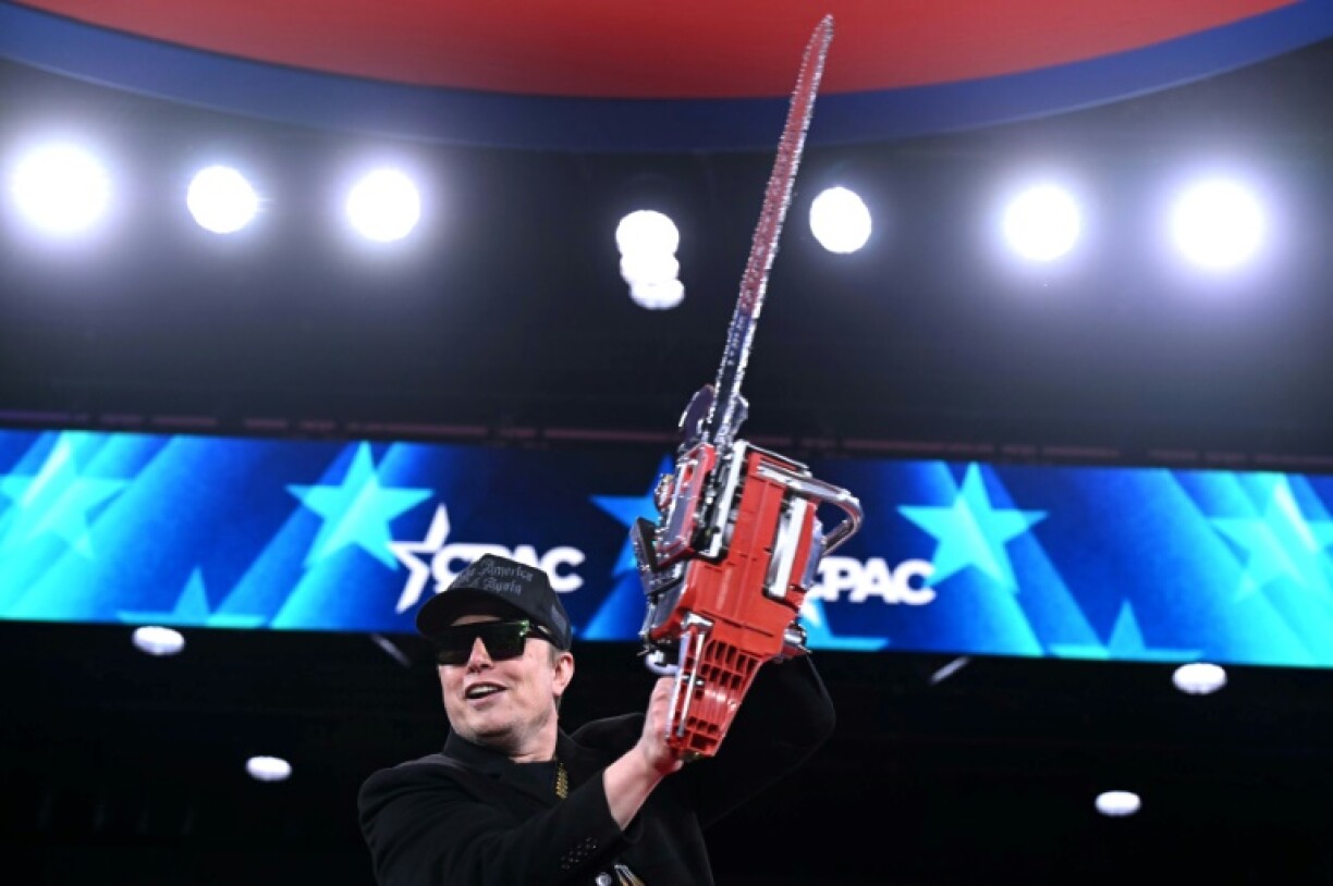 Elon Musk holds a chainsaw to symbolize his radical cuts of the US government