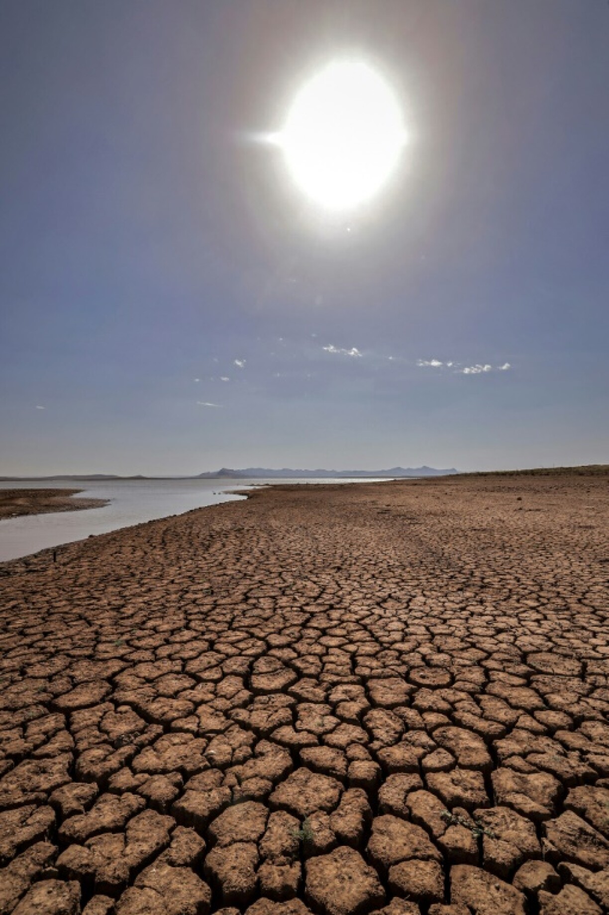 Non loin du barrage d'al-Massira dans le village d'Ouled Essi Masseoud au sud de Casablanca, le 8 août 2022