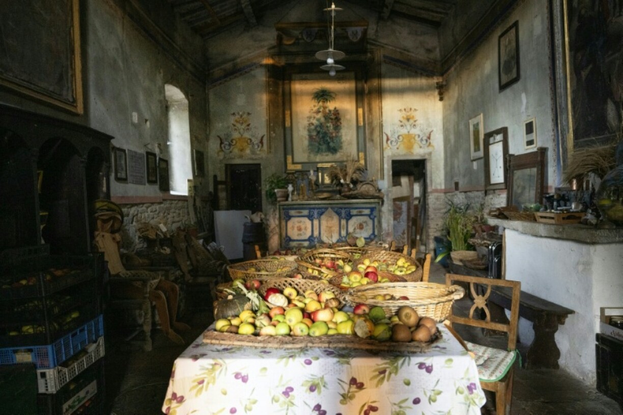 The Archeologia Arborea foundation saves fruit varieties to restore biodiversity and build resilience against climate change