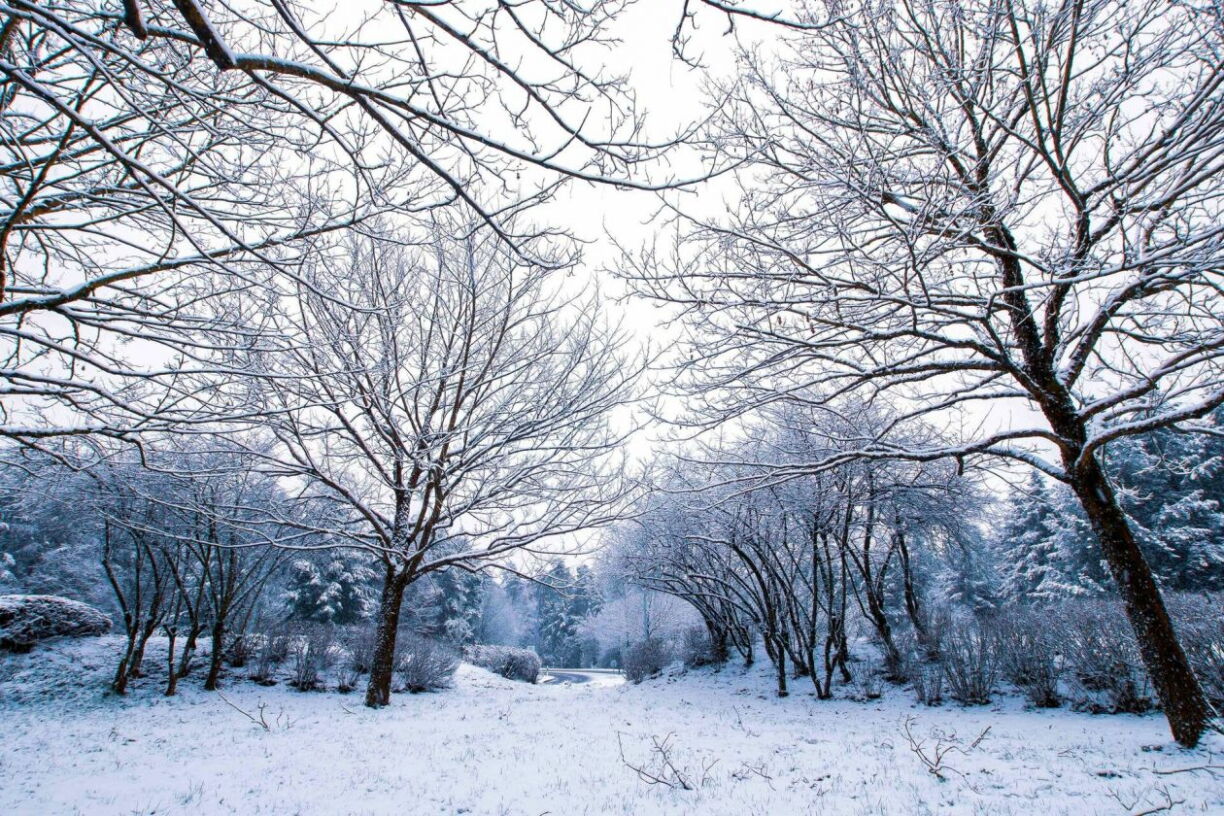 Une photo prise à Bridel jeudi après-midi