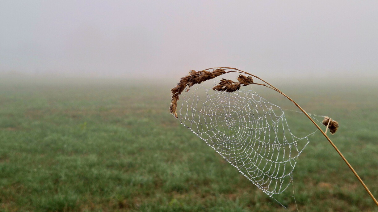 Misty morning in Roullingen, 10 September 2026.