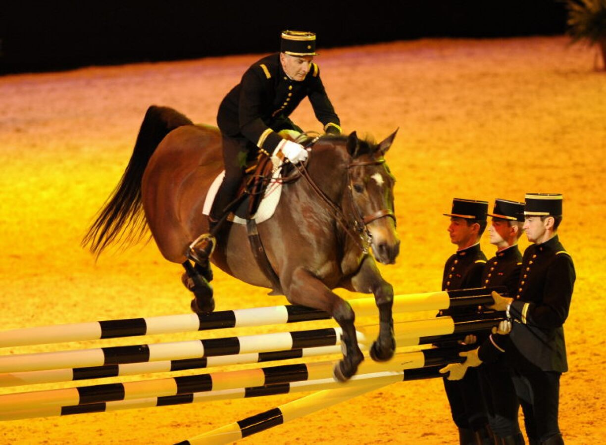 Le saut d'obstacle est souvent popularisé à travers des spectacles glorifiant l'Histoire équestre, et notamment militaire.