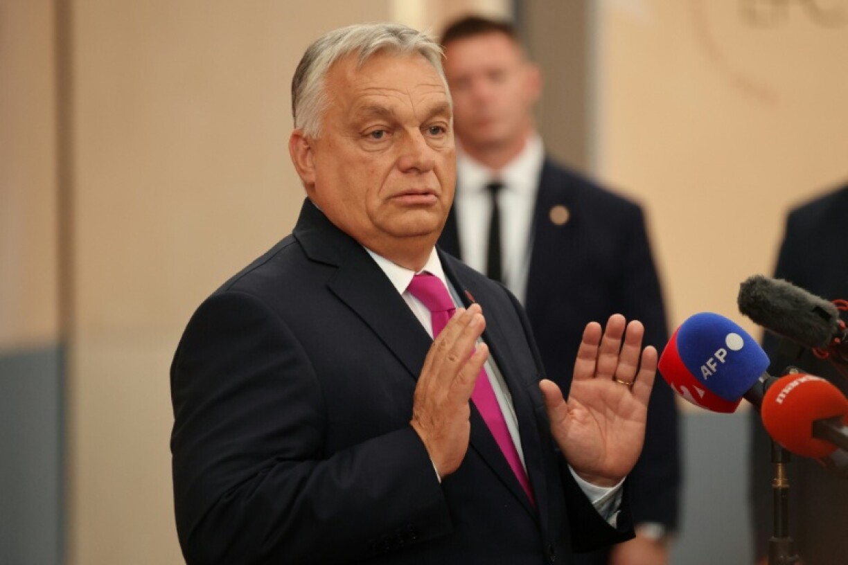 The report said the scheme appeared to have been designed to benefit Hungarian Prime Minister Viktor Orban