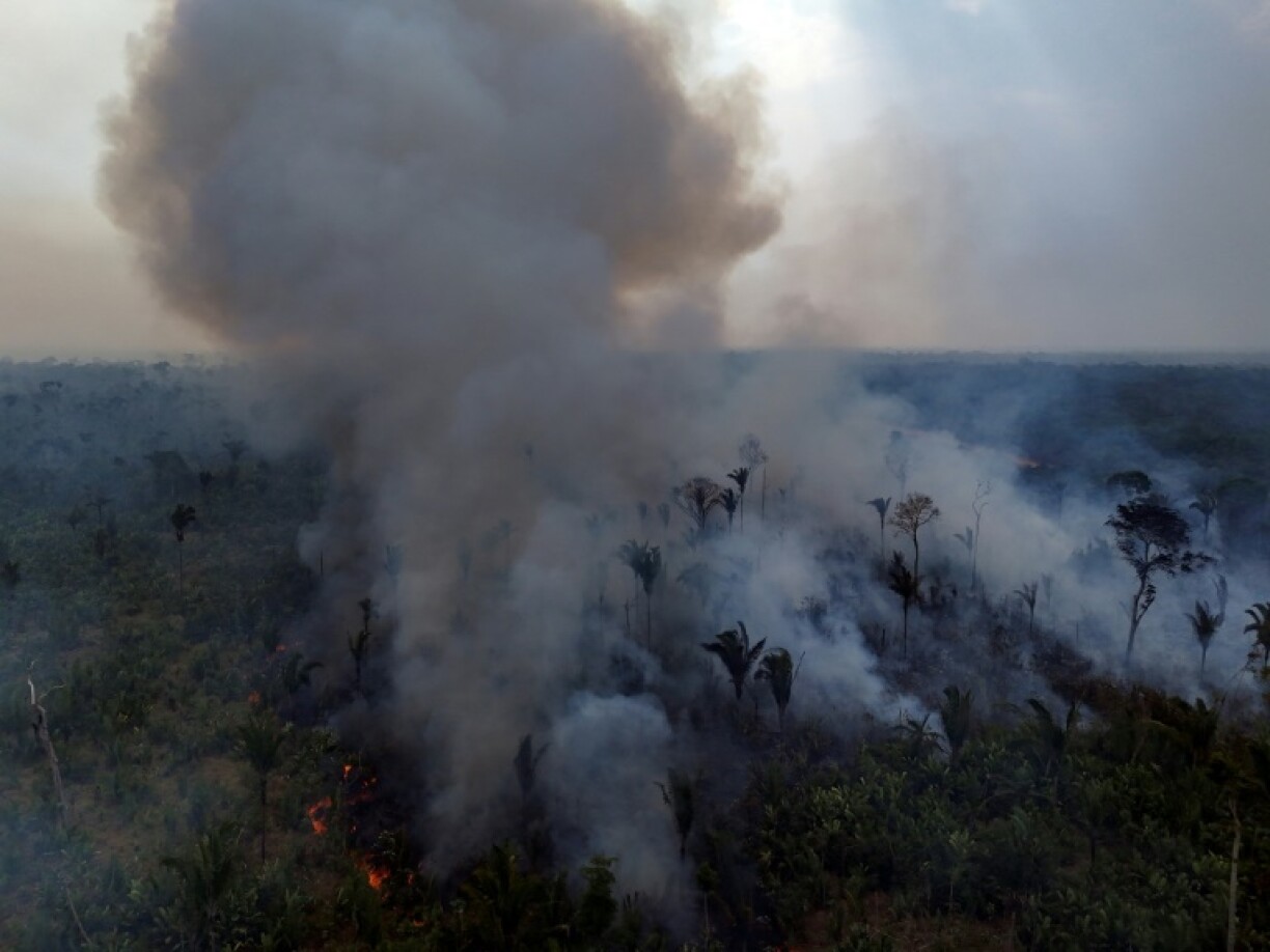 Aerial view of a fire in the Amazon rainforest near the northern Brazilian city of Labrea on September 4, 2024