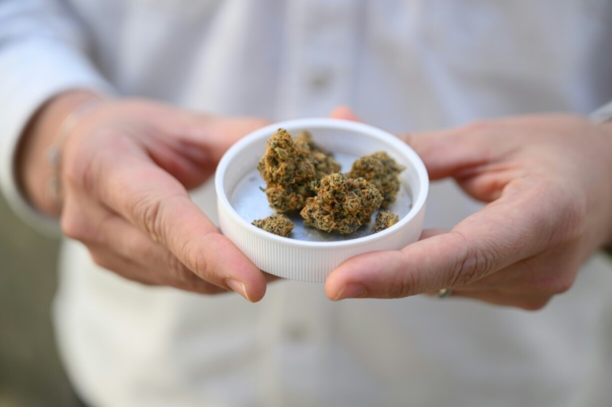 Medical cannabis has been a boon for the Berlin-based company whose website slogan says 'we love cannabis' and whose Frankfurt Stock Exchange ticker symbol is 'HIGH'