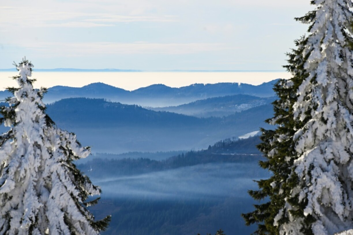 The company is based in Germany's picturesque Black Forest region and has now plans to leave