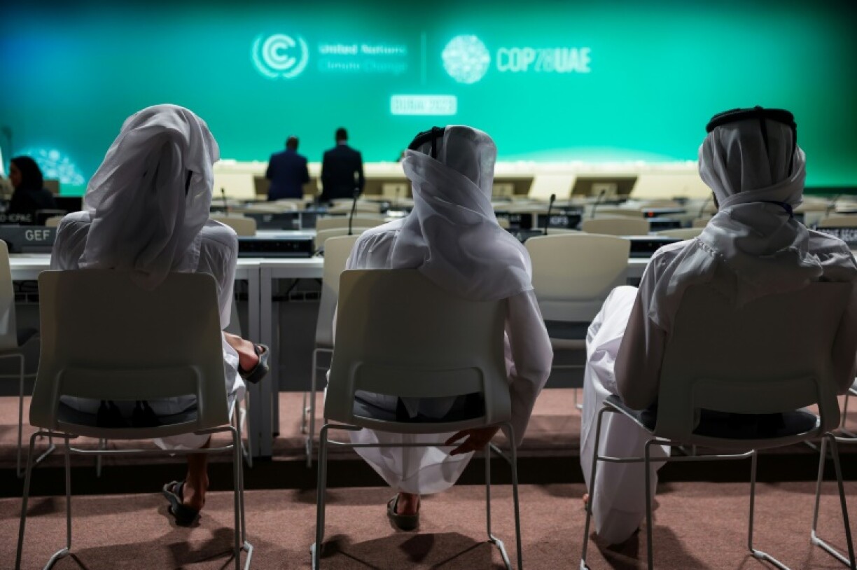 La COP28 se tient à Dubaï jusqu'au 12 décembre