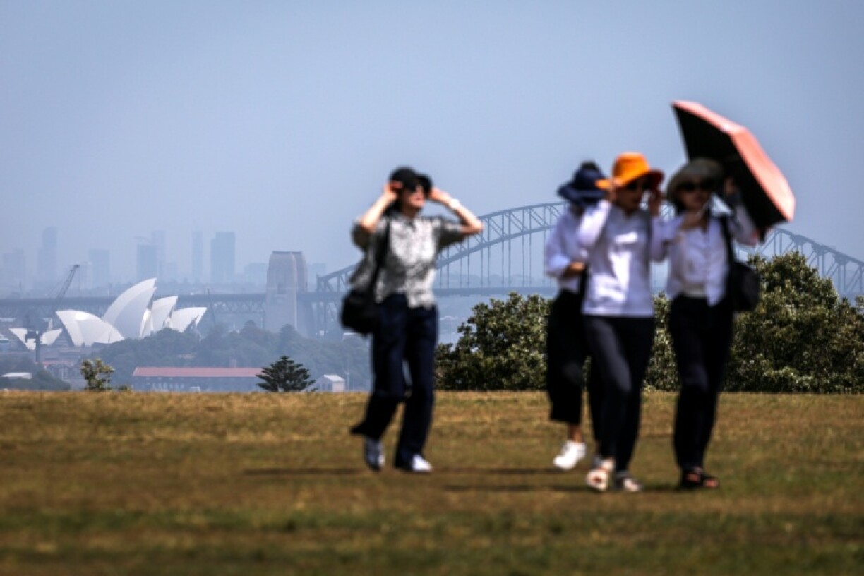 Australia is campaigning to co-host next year's UN climate summit alongside Pacific Islands neighbours