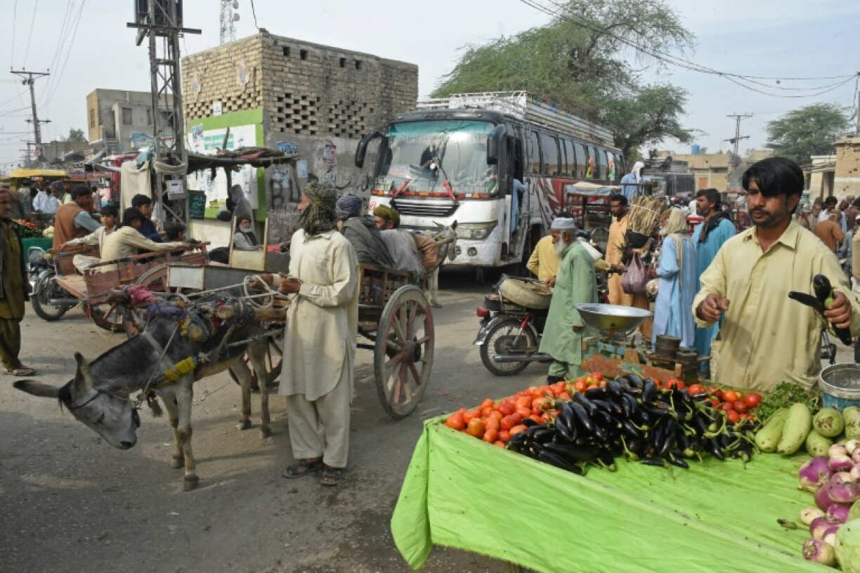 The Baloch Liberation Army claims that the Pakistani region's natural resources are being exploited by outsiders