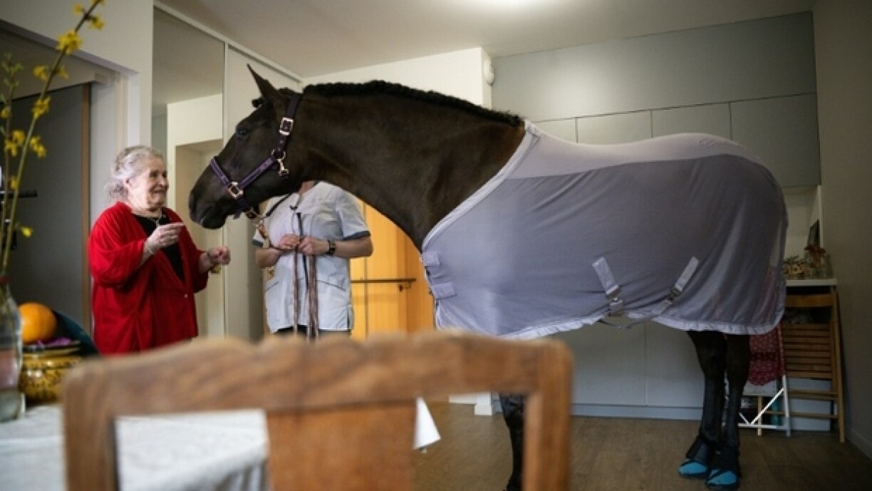 La jument Dounka rend visite à une pensionnaire de la Maison d'accueil et de résidence pour l'autonomie (Marpa) d'Ornans, le 25 mars 2023 au sud de Besançon
